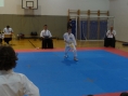 6-sr-2012-017_resize