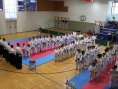 img_1463_resize.jpg