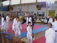 imga0478.jpg