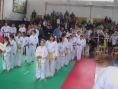 imga0481.jpg