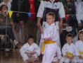 imga0495.jpg