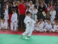 imga0496.jpg
