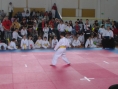 imga0498.jpg