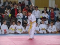 imga0499.jpg