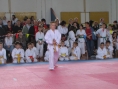 imga0501.jpg