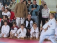 imga0508.jpg