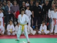 imga0515.jpg