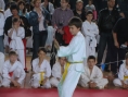 imga0516.jpg