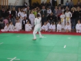 imga0524.jpg