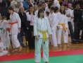 imga0533.jpg