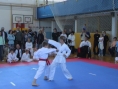 imga0540.jpg
