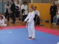 imga0541.jpg