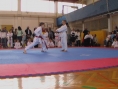imga0542.jpg