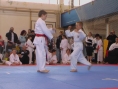 imga0545.jpg