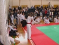 imga0554.jpg
