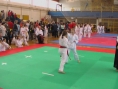 imga0555.jpg