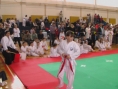 imga0556.jpg
