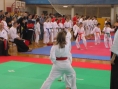 imga0558.jpg
