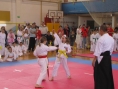 imga0565.jpg