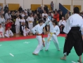 imga0567.jpg