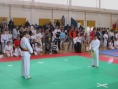 imga0568.jpg