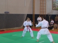 imga0572.jpg