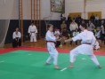imga0573.jpg