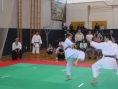 imga0574.jpg