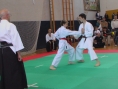 imga0578.jpg