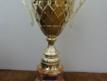 pokal