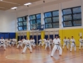 Kg20.jpg