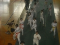1-maj-in-tekmovanje-karate-115