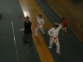 1-maj-in-tekmovanje-karate-140
