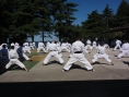 novigrad-2013-002