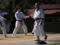 novigrad-2013-007