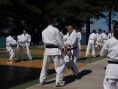 novigrad-2013-030