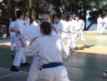 novigrad-2013-033