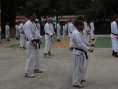 novigrad-2013-039