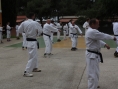 novigrad-2013-040