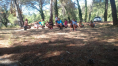 Pineta 2017