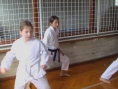 imga0342.jpg