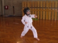 imga0358.jpg
