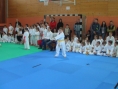 imga0368.jpg