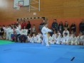 imga0370.jpg
