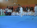 imga0373.jpg
