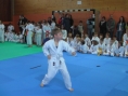imga0374.jpg