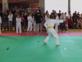 imga0377.jpg