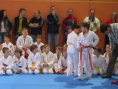 imga0381.jpg