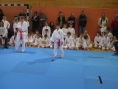 imga0393.jpg