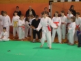 imga0406.jpg